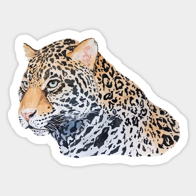 Tiger Sticker by amandapwilson